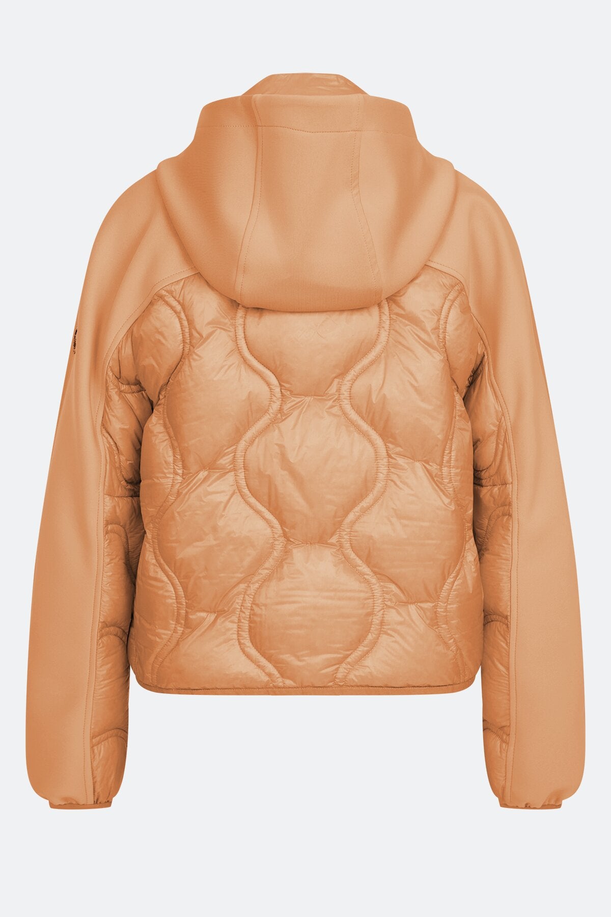Down Jacket with Hood