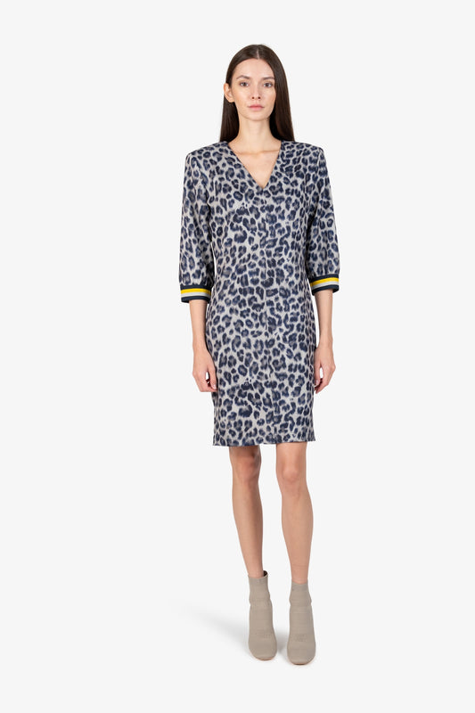 Dress with Long Sleeves