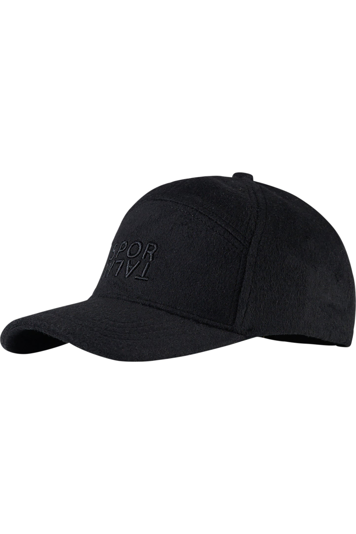 刺绣LOGO羊毛鸭舌帽